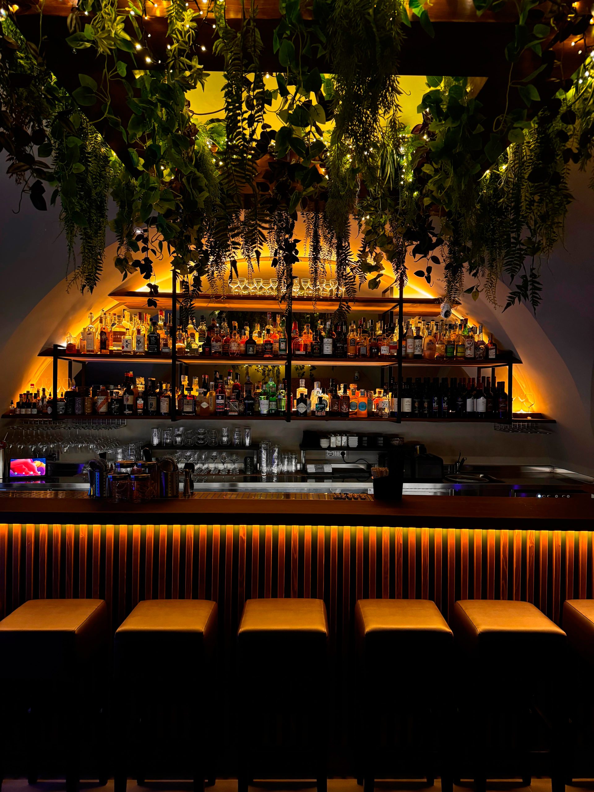 topo-site-thelounge-original